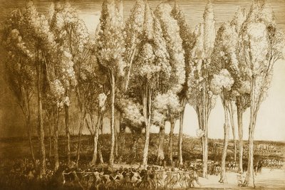 De dans van de lente door Donald Shaw MacLaughlan