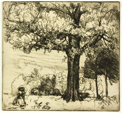 De Grote Eik door Donald Shaw MacLaughlan