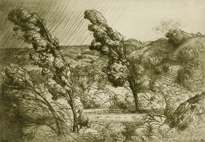 De storm door Donald Shaw MacLaughlan