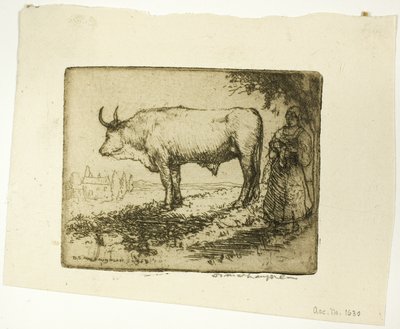 De witte os door Donald Shaw MacLaughlan