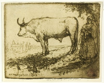 De witte os door Donald Shaw MacLaughlan