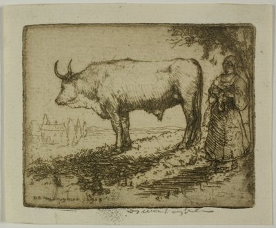 De witte os door Donald Shaw MacLaughlan