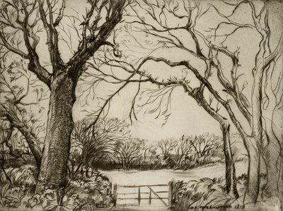 Tragenna Hout door Donald Shaw MacLaughlan