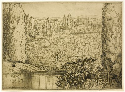 Toscane door Donald Shaw MacLaughlan