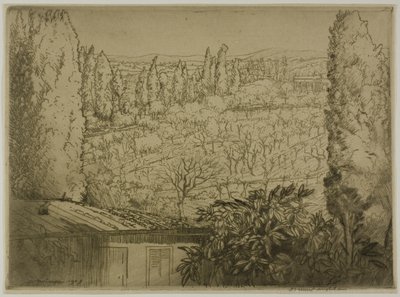 Toscane door Donald Shaw MacLaughlan