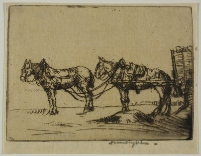 Twee paarden door Donald Shaw MacLaughlan