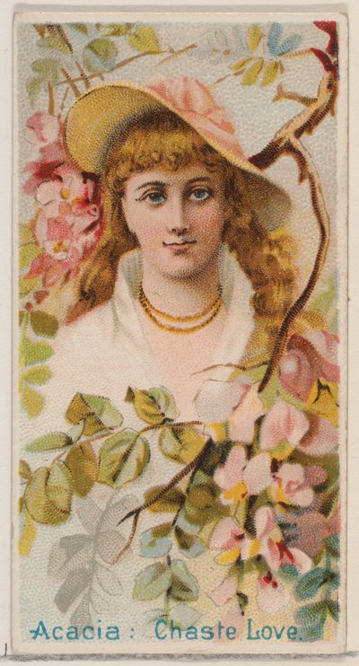 Acacia: Kuis Liefde, uit de serie Bloemen Schoonheden en Taal van Bloemen N75 voor Duk..., 1892 door Donaldson Brothers