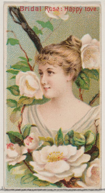 Bridal Roos: Gelukkige Liefde, uit de serie Floral Beauties and Language of Flowers door Donaldson Brothers