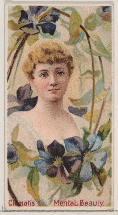 Clematis: Mentale schoonheid, uit de serie Floral Beauties and Language of Flowers N75, 1892 door Donaldson Brothers