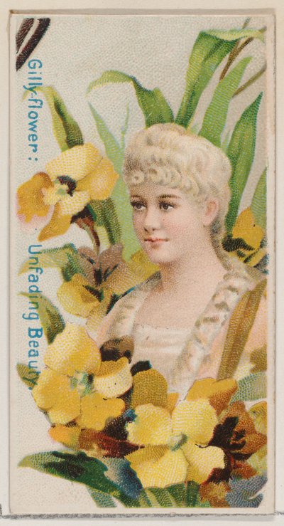Gillyflower: Onvergankelijke Schoonheid, uit de serie Bloemenpracht en Taal van Bloemen N7..., 1892 door Donaldson Brothers