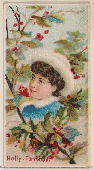 Hulst: Vooruitziendheid, uit de serie Floral Beauties and Language of Flowers N75 voor Duke b..., 1892 door Donaldson Brothers