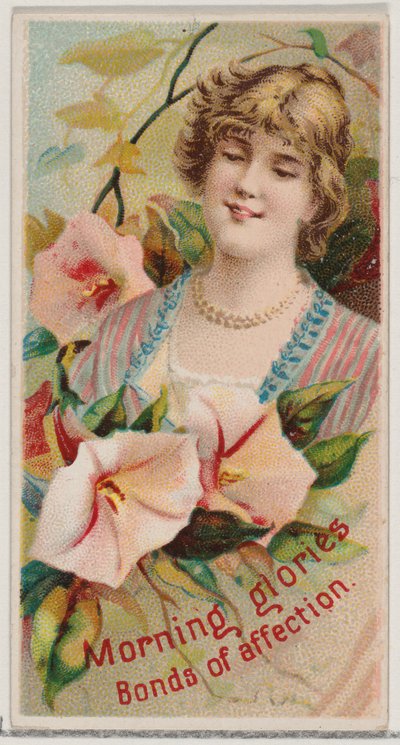 Morning Glories: Banden van genegenheid, uit de serie Bloemenschoonheden en de taal van bloemen door Donaldson Brothers