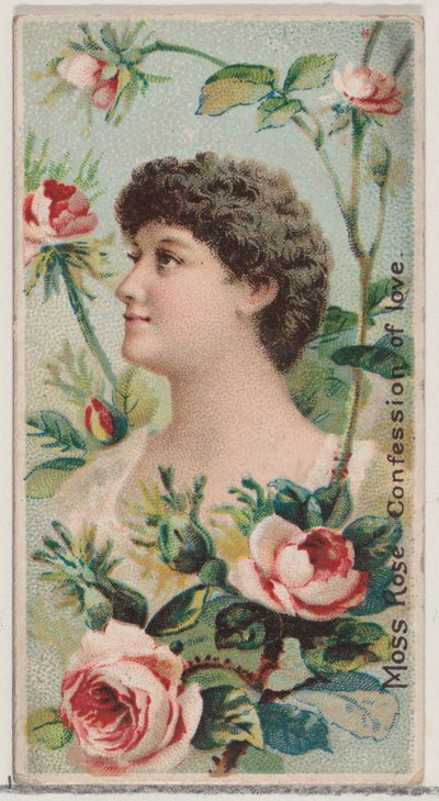 Moss Roos: Bekentenis van Liefde, uit de serie Floral Beauties and Language of Flowers door Donaldson Brothers