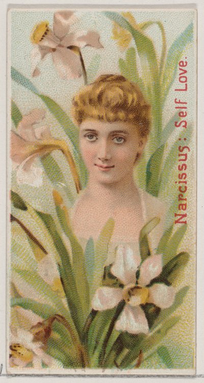 Narcissus: Zelfliefde, uit de serie Bloemenschoonheden en de taal van bloemen door Donaldson Brothers