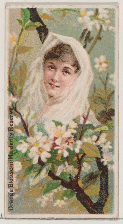 Sinaasappelbloesem: Maagdelijke Reserve, uit de serie Bloemenschoonheden en Taal van Bloemen ..., 1892 door Donaldson Brothers