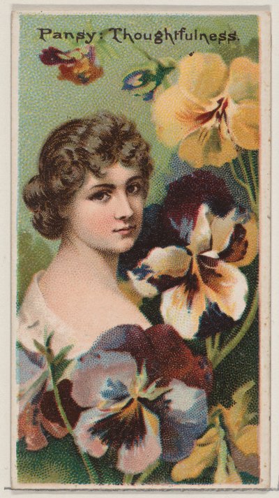 Viooltje: Bedachtzaamheid, uit de serie Floral Beauties and Language of Flowers N75 voor D..., 1892 door Donaldson Brothers