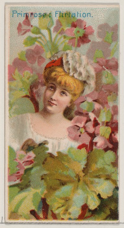 Primula: Flirtatie, uit de serie Floral Beauties and Language of Flowers N75 voor Du..., 1892 door Donaldson Brothers