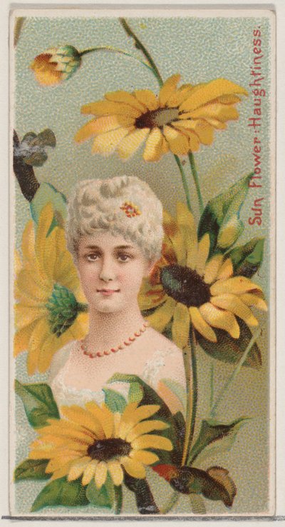 Zonnebloem: Hoogmoed, uit de serie Bloemenschoonheden en de taal van bloemen N75 door Donaldson Brothers