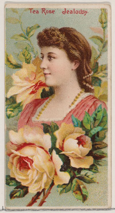 Theeroos: Jaloezie, uit de serie Bloemschoonheden en Taal van Bloemen N75 voor Duke, 1892 door Donaldson Brothers