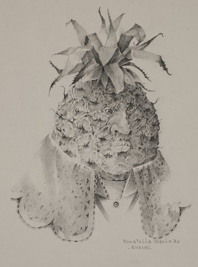 Ananas door Donatella Merlo