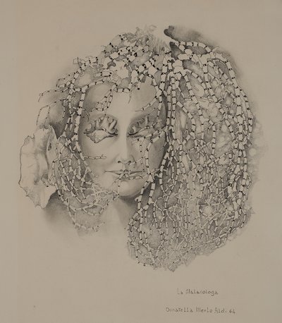 De malacologie door Donatella Merlo
