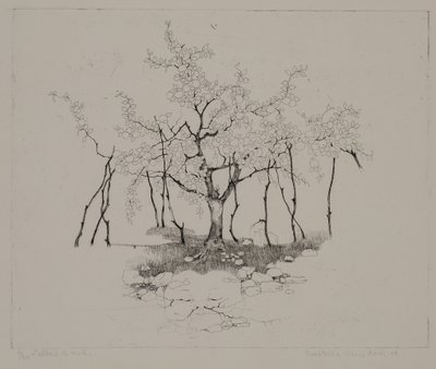 De appelboom door Donatella Merlo