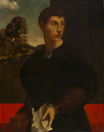 Portret van een Jongeman door Dosso (follower of) Dossi