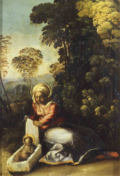 Madonna met Kind La Zingarella, ca. 1513 door Dosso Dossi