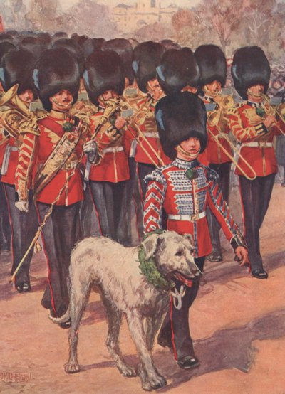 De band en wolfshondmascotte van de Irish Guards die de klaver dragen op St. Patrick