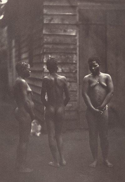 Drie Malagassische Vrouwen (Plate 30) door Désiré Charnay