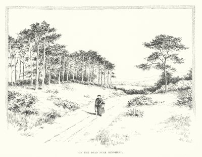 Op de weg nabij Hindhead door Duncan Moul
