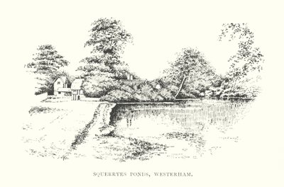 Squerryes Ponds, Westerham door Duncan Moul