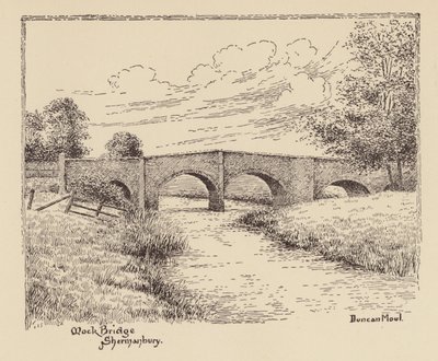 Sussex: Mock Bridge, Shermanbury door Duncan Moul