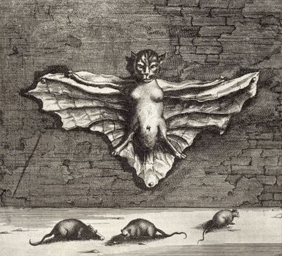 Een vleermuis bekend als een vliegende kat, uit China Illustrated door Athanasius Kircher (1601-80) 1667 door Dutch School
