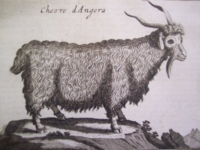 Angorageit, uit Relation dun Voyage du Levant door Joseph Pitton de Tournefort, Amsterdam, 1718 door Dutch School