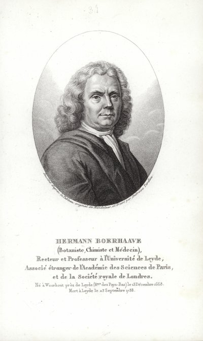 Herman Boerhaave door Dutch School