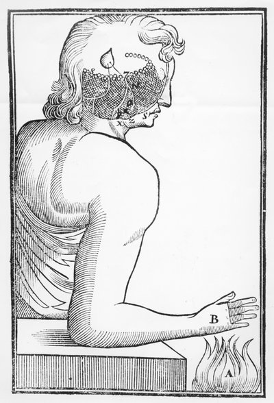 Illustratie van de werking en het effect van de pijnappelklier op het menselijk zenuwstelsel in relatie tot een reactie op vuur, uit Tractatus de Homine, gepubliceerd in Amsterdam door Elsevier, 1677 door Dutch School