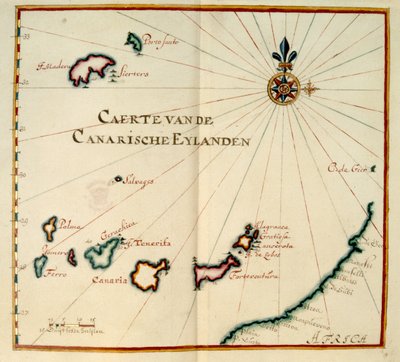 Madeira en Canarische Eilanden door Dutch School