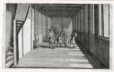 Bomen verplaatsen naar de tuin voor de zomer, uit De Nederlandze Hesperides door Jan Commelin, gepubliceerd in 1676 door Dutch School