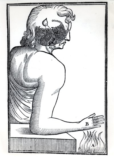 De waarneming van de zintuigen, uit De Homine Figuris door René Descartes (1596-1650) gepubliceerd in Amsterdam, 1677 door Dutch School