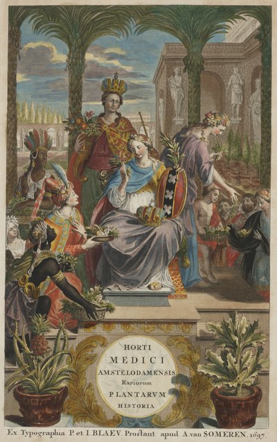 Titelpagina uit "Horti Medici Amstelodamensis Rariorum Plantarum Historia" vol. I, door Jan Commelin door Dutch School