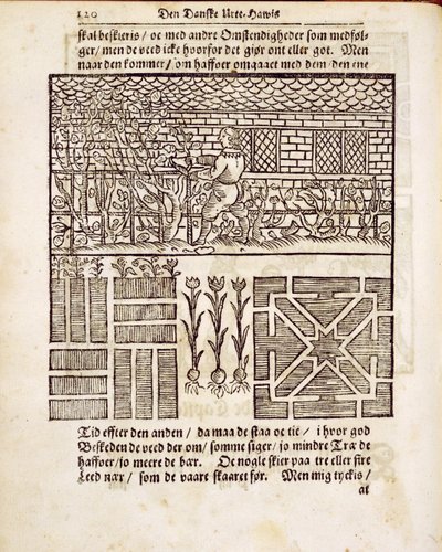 Training en planten in de tuin, uit De Nederlandse Tuinman, door Johann van der Groen, gepubliceerd 1699 door Dutch School