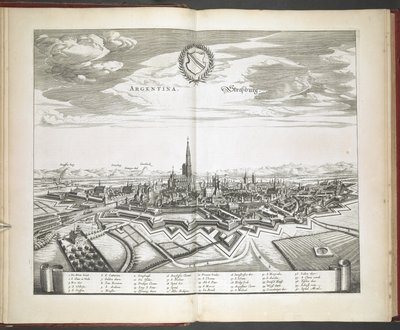 Uitzicht op Straatsburg uit 