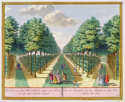 Uitzicht op het bos naar het huis en de twee zijlanen, Watervliet, uit Het Zegenpralent Kennemerlant, door Hendrick de Leth en Matthias Brouerius Van Nidek, gepubliceerd ca. 1700-1730 door Dutch School