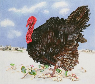 Zwarte Kalkoen met Sneeuwbessen, 1996 door E.B. Watts
