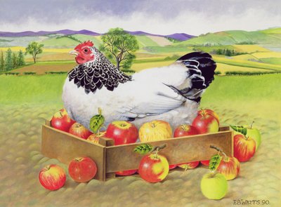 Kip in een Doos met Appels door E.B. Watts