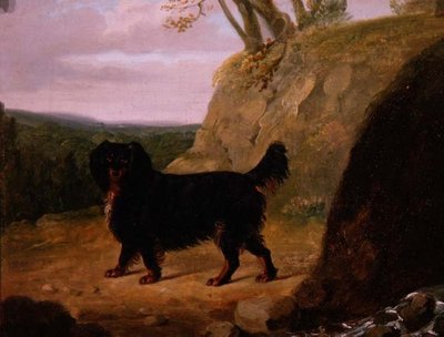 Een Cocker Spaniel in het Landschap door E.W. Gill