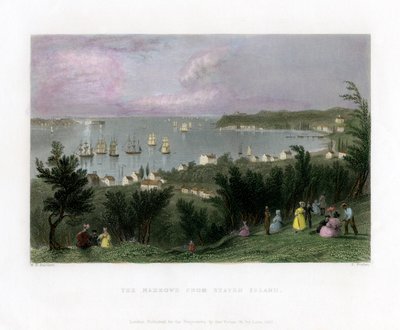 The Narrows gezien vanaf Staten Island, New York, VS door E. Finden