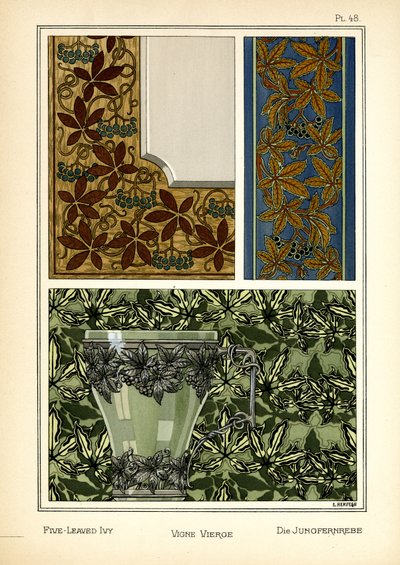 De Vijfbladige Klimop door E. Hervegh