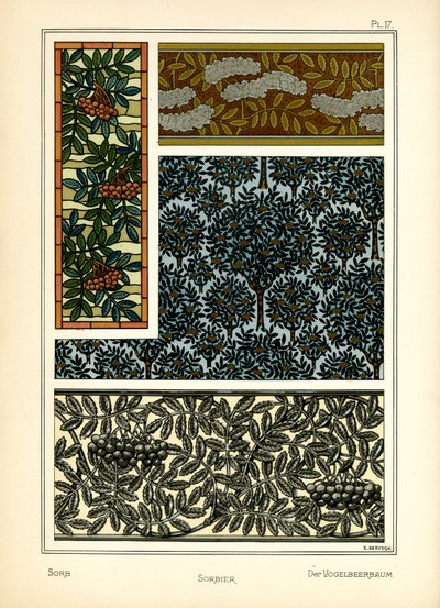De Lijsterbes door E. Hervegh